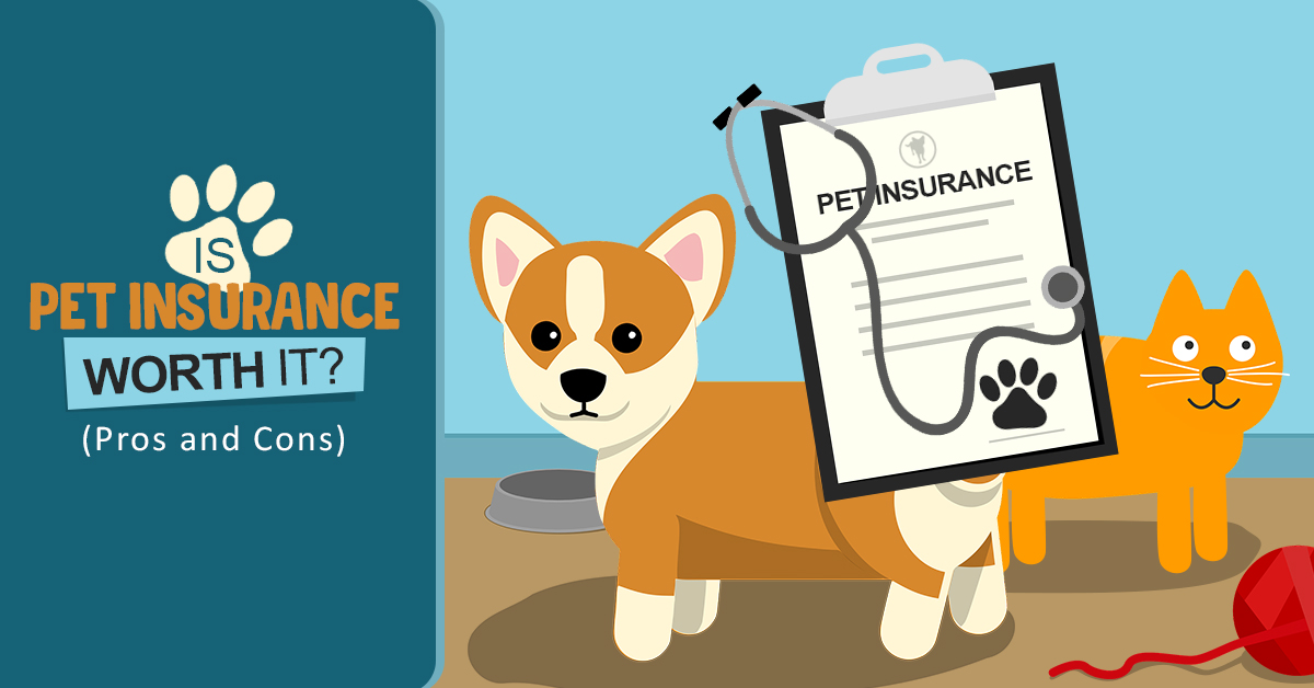 Is Pet Insurance Worth It? (Pros and Cons for 2020)
