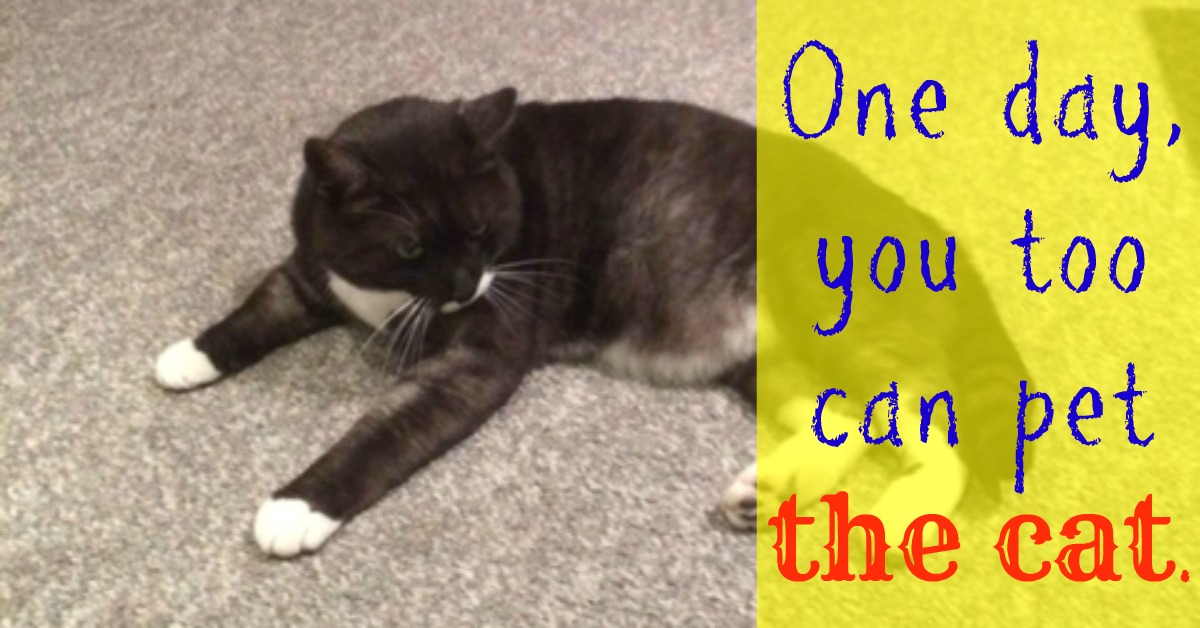 One Day, You Too Can Pet the Cat.