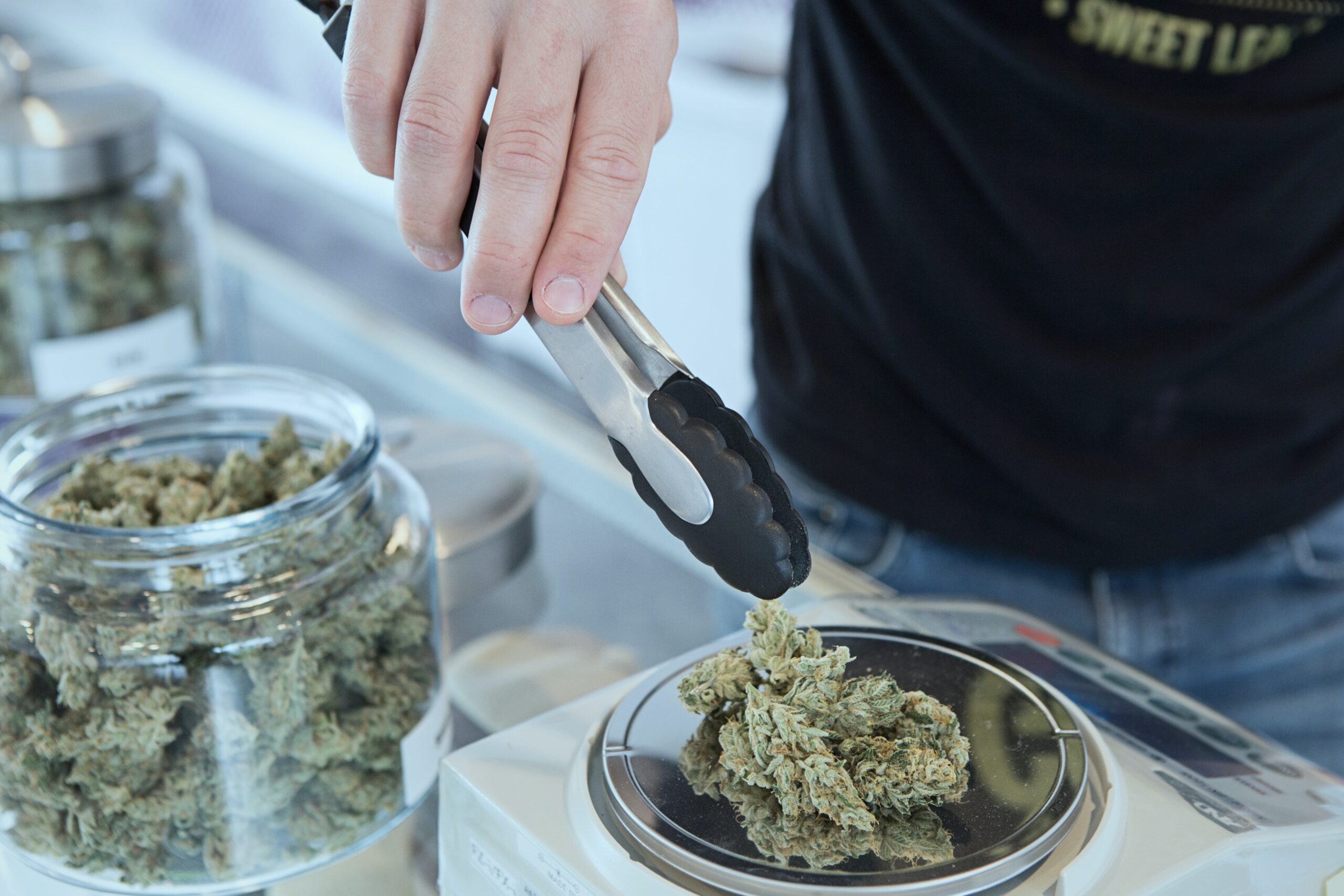 person holding gray tongs and marijuana