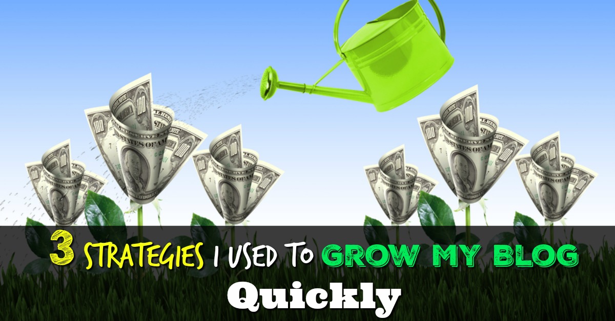 3 Strategies I Used To Grow My Blog Quickly