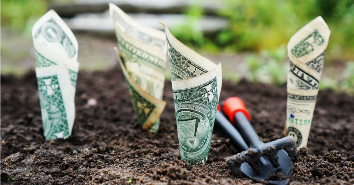 From Teacher to $12,000 a Month: Here’s What I’ve Learned So Far